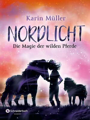 cover image of Nordlicht, Band 03